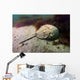 Female Horseshoe Crab Scuttling Away Wall Decal