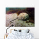 Female Horseshoe Crab Scuttling Away Wall Decal