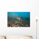 Largemouth Bass Swimming Dutch Wall Decal