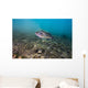 Largemouth Bass Swimming Dutch Wall Decal