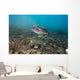 Largemouth Bass Swimming Dutch Wall Decal
