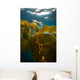 Giant Kelp Floats up Wall Decal