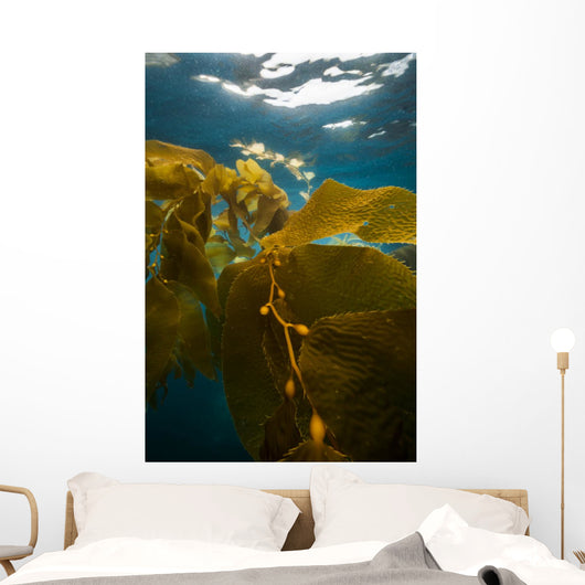 Giant Kelp Floats up Wall Decal