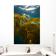 Giant Kelp Floats up Wall Decal