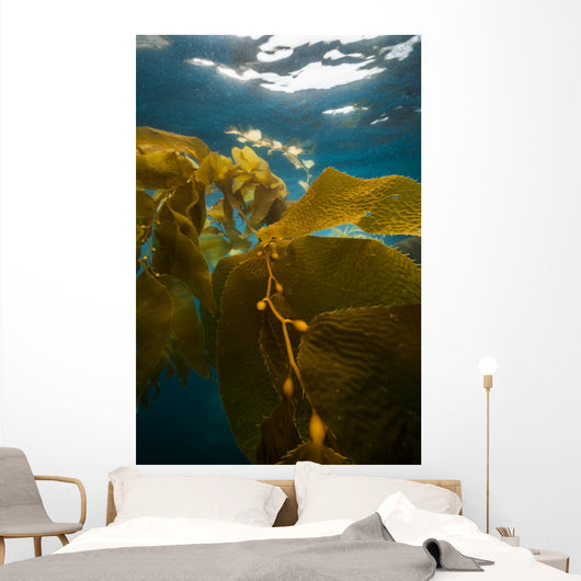 Giant Kelp Floats up Wall Decal