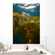 Giant Kelp Floats up Wall Decal