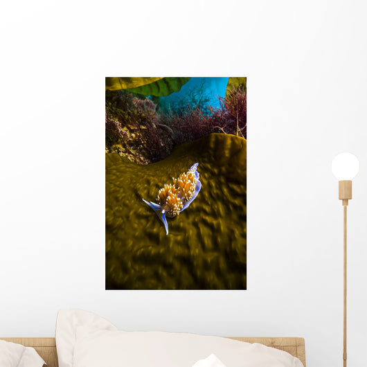 Opalescent Nudibranch Crawls along Wall Decal