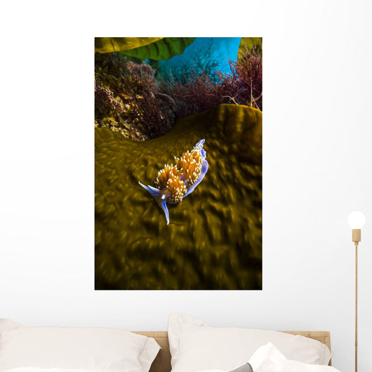 Opalescent Nudibranch Crawls along Wall Decal