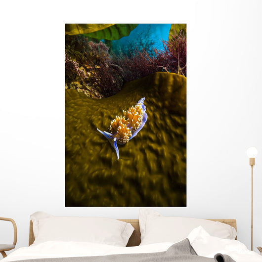Opalescent Nudibranch Crawls along Wall Decal