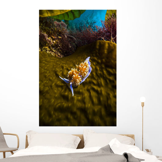 Opalescent Nudibranch Crawls along Wall Decal