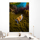 Opalescent Nudibranch Crawls along Wall Decal