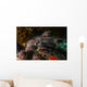 Docile Horn Shark Kelp Wall Decal