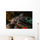 Docile Horn Shark Kelp Wall Decal
