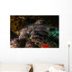 Docile Horn Shark Kelp Wall Decal