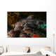 Docile Horn Shark Kelp Wall Decal