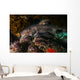 Docile Horn Shark Kelp Wall Decal