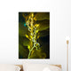 Giant Kelp Close-up Wall Decal