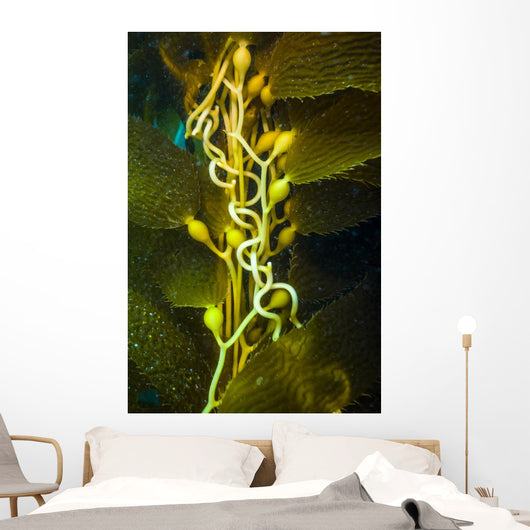 Giant Kelp Close-up Wall Decal
