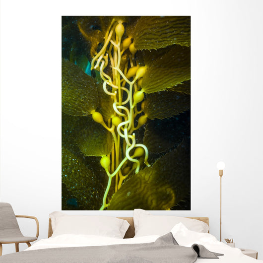 Giant Kelp Close-up Wall Decal