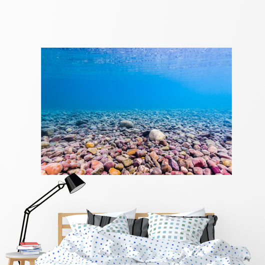 Shoreline Lake Mcdonald Glacier Wall Decal