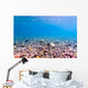 Shoreline Lake Mcdonald Glacier Wall Decal