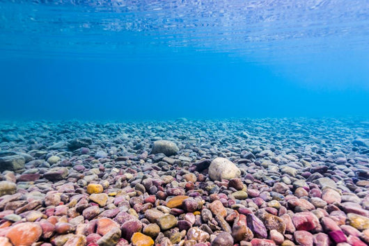 Shoreline Lake Mcdonald Glacier Wall Decal