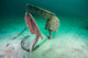 Work Tools Buried Sand Wall Decal