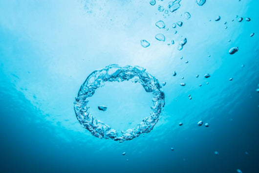 Bubble Rings Clear Waters Wall Decal