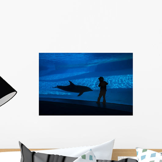 Boy Connects with Dolphin Wall Decal