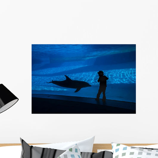 Boy Connects with Dolphin Wall Decal