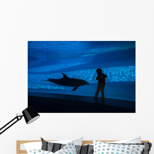 Boy Connects with Dolphin Wall Decal