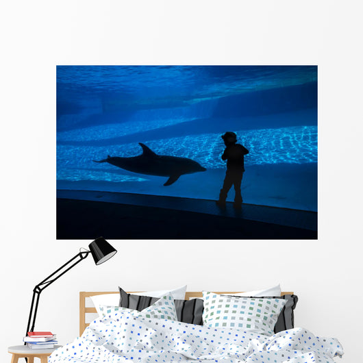 Boy Connects with Dolphin Wall Decal