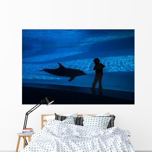 Boy Connects with Dolphin Wall Decal