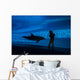 Boy Connects with Dolphin Wall Decal