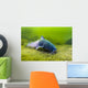 Blue Catfish Swimming along Wall Decal