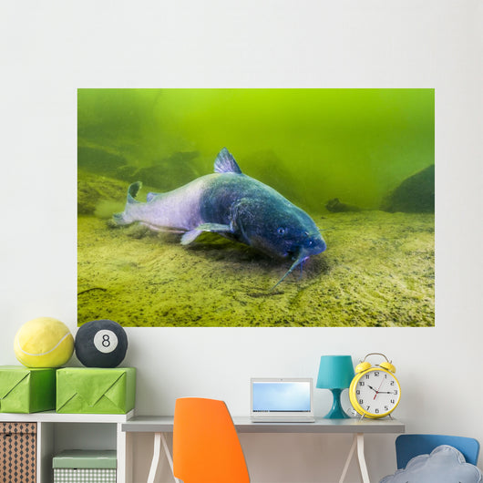 Blue Catfish Swimming along Wall Decal