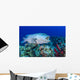 Wrasse Cleans inside Grouper Wall Decal