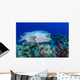Wrasse Cleans inside Grouper Wall Decal
