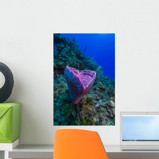 Spong Side Mount Grand Wall Decal