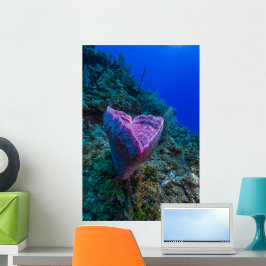 Spong Side Mount Grand Wall Decal