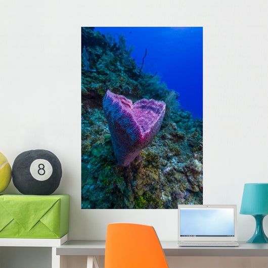 Spong Side Mount Grand Wall Decal