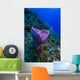 Spong Side Mount Grand Wall Decal