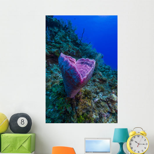 Spong Side Mount Grand Wall Decal