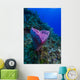 Spong Side Mount Grand Wall Decal