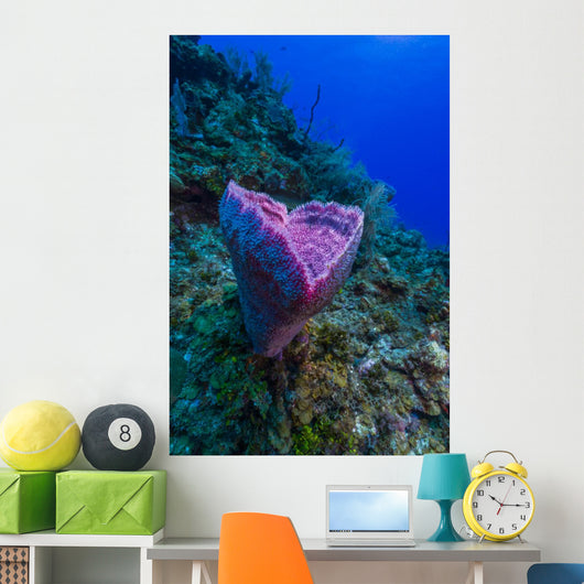 Spong Side Mount Grand Wall Decal
