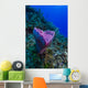 Spong Side Mount Grand Wall Decal