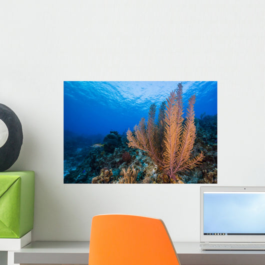 Reefscape Grand Cayman Cayman Horizontal Wall Decal