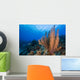 Reefscape Grand Cayman Cayman Horizontal Wall Decal