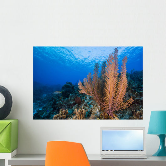 Reefscape Grand Cayman Cayman Horizontal Wall Decal