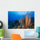 Reefscape Grand Cayman Cayman Horizontal Wall Decal
